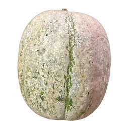 The ash gourd ornament in HangLine, hung as a disti bomma